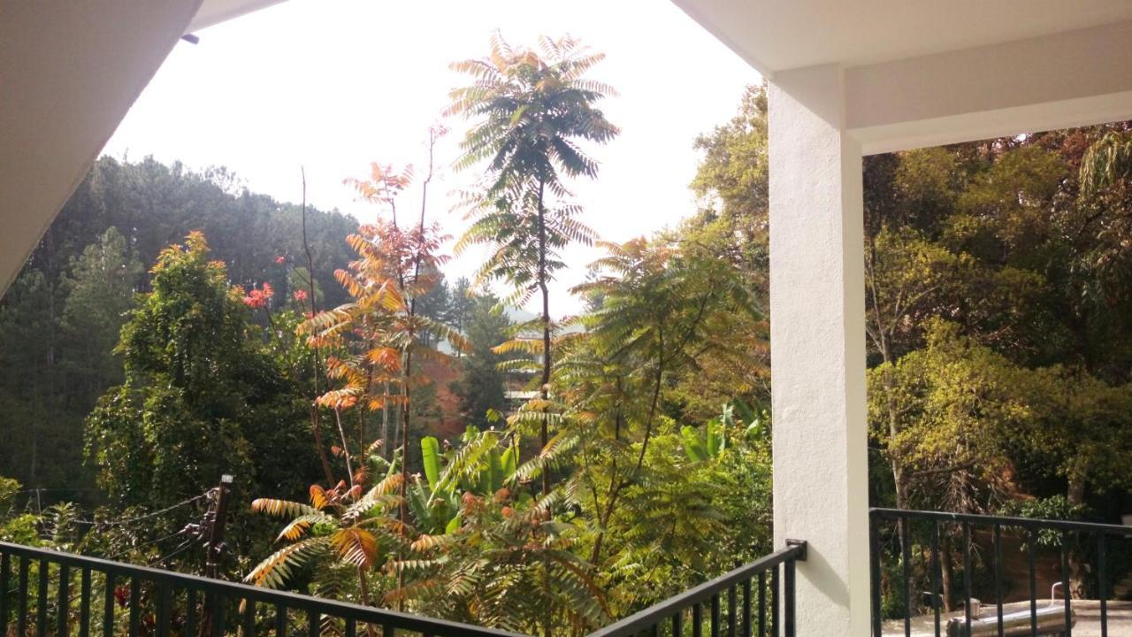 Hotel Misty Elegance - Ella. Extérieur photo